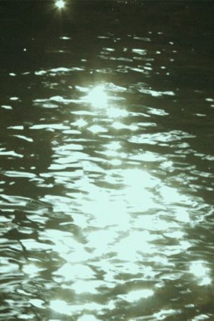 On homes and the telluric's poster