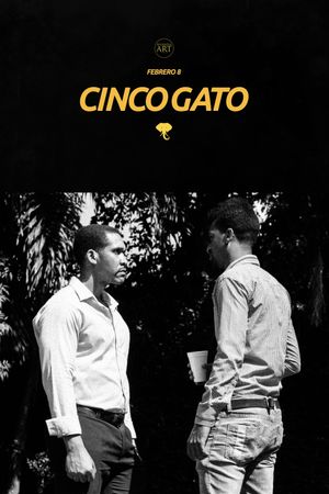 Cinco Gato's poster