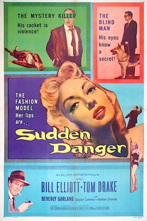 Sudden Danger's poster