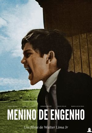 Plantation Boy's poster
