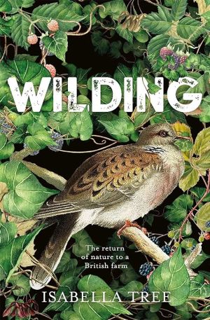 Wilding's poster