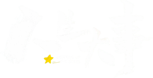 Lighting up the Stars's poster