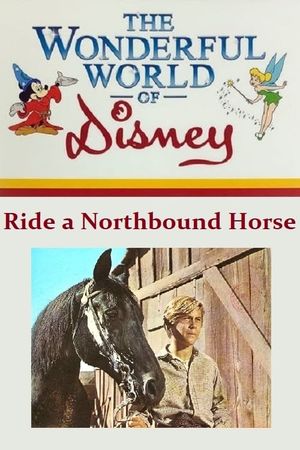 Ride a Northbound Horse's poster