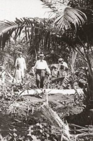 Amazonas, Maior Rio do Mundo's poster