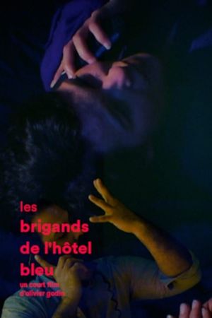 Les brigands de l'hôtel bleu's poster image