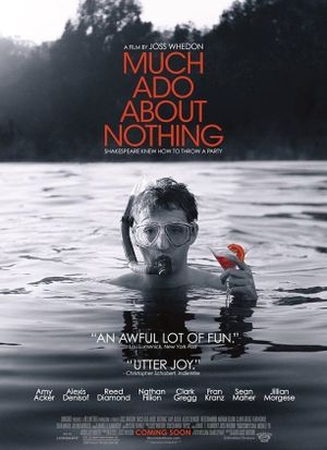 Much Ado About Nothing's poster