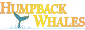 Humpback Whales's poster