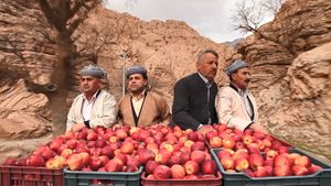 1001 Apples's poster