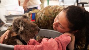 Bushfire Animal Rescue's poster