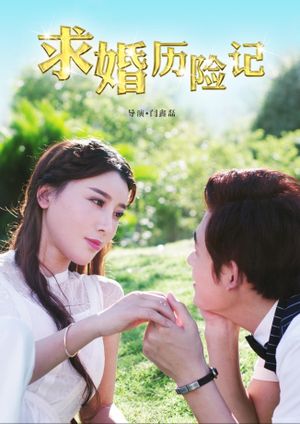 求婚历险记's poster