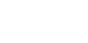 Step Up Revolution's poster
