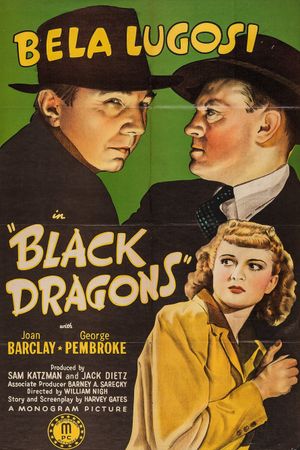 Black Dragons's poster
