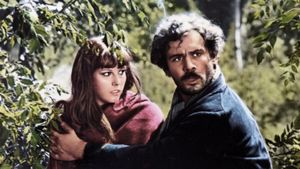The Bandit's poster