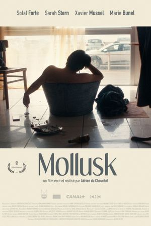 Mollusk's poster