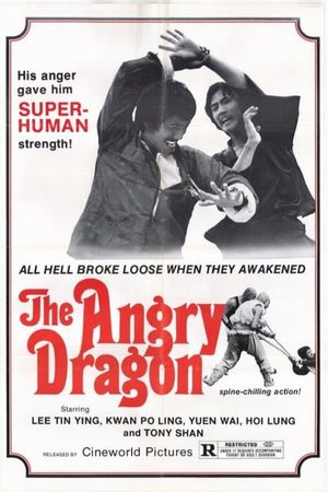 The Angry Dragon's poster