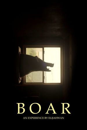 B O A R's poster