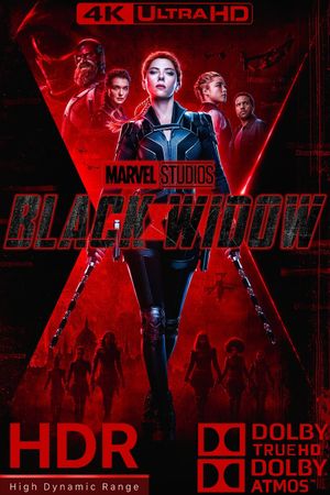 Black Widow's poster