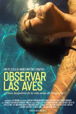 Observar las aves's poster