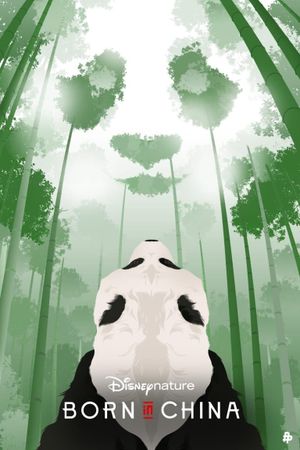 Born in China's poster