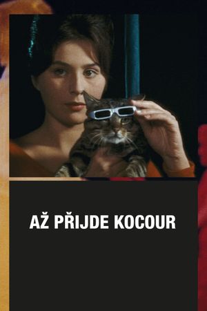 When the Cat Comes's poster