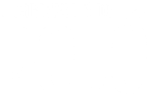 O Carnaval é de Pelé's poster