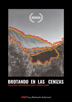 Brotando en las cenizas's poster