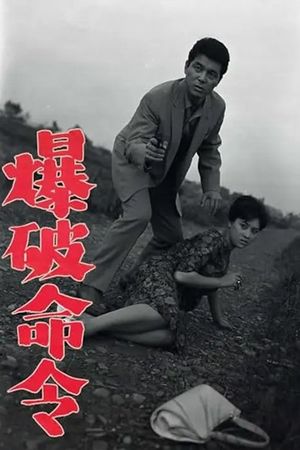 爆破命令's poster