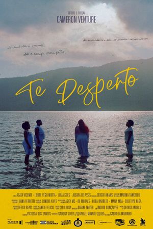 Te Desperto's poster