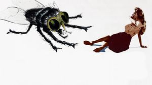 The Fly's poster