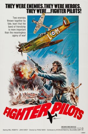 Fighter Pilots's poster