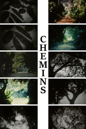 Chemins's poster