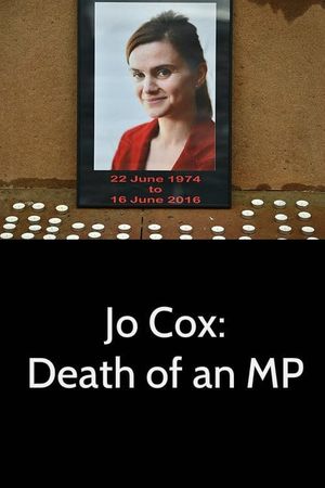 Jo Cox: Death of an MP's poster