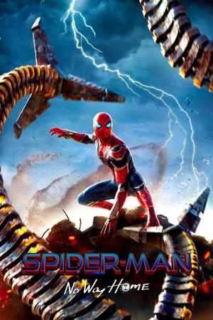 Spider-Man: No Way Home's poster