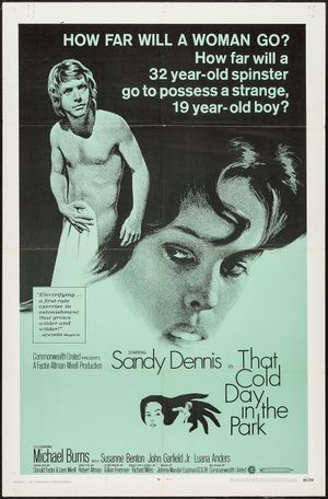 That Cold Day in the Park's poster
