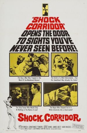 Shock Corridor's poster