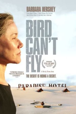 The Bird Can't Fly's poster image