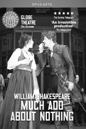 Much Ado About Nothing's poster