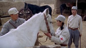 A White Horse Named Feifei's poster