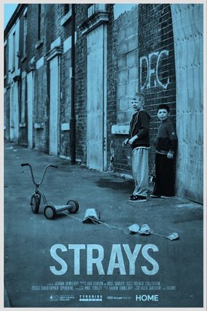 Strays's poster image