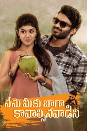 Nenu Meeku Baaga Kavalsinavaadini's poster