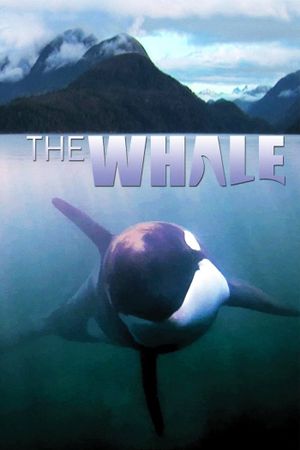 The Whale's poster