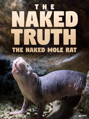 Naked Molerat: Nature’s Weirdest Superhero's poster