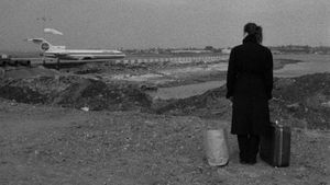 Stranger Than Paradise's poster