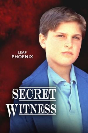 Secret Witness's poster