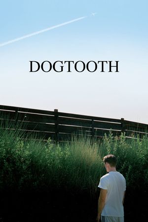 Dogtooth's poster