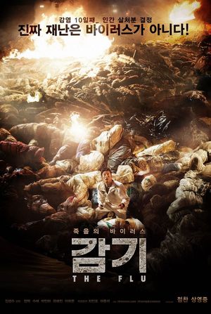 Flu's poster