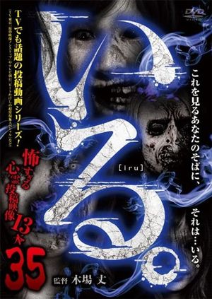 「Iru.」~ Kowasugiru Tōkō Eizō 13-hon ~ Vol.35's poster