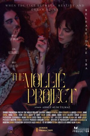 The Mollie Project's poster