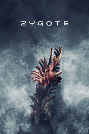Zygote's poster