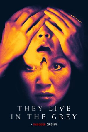 They Live in the Grey's poster